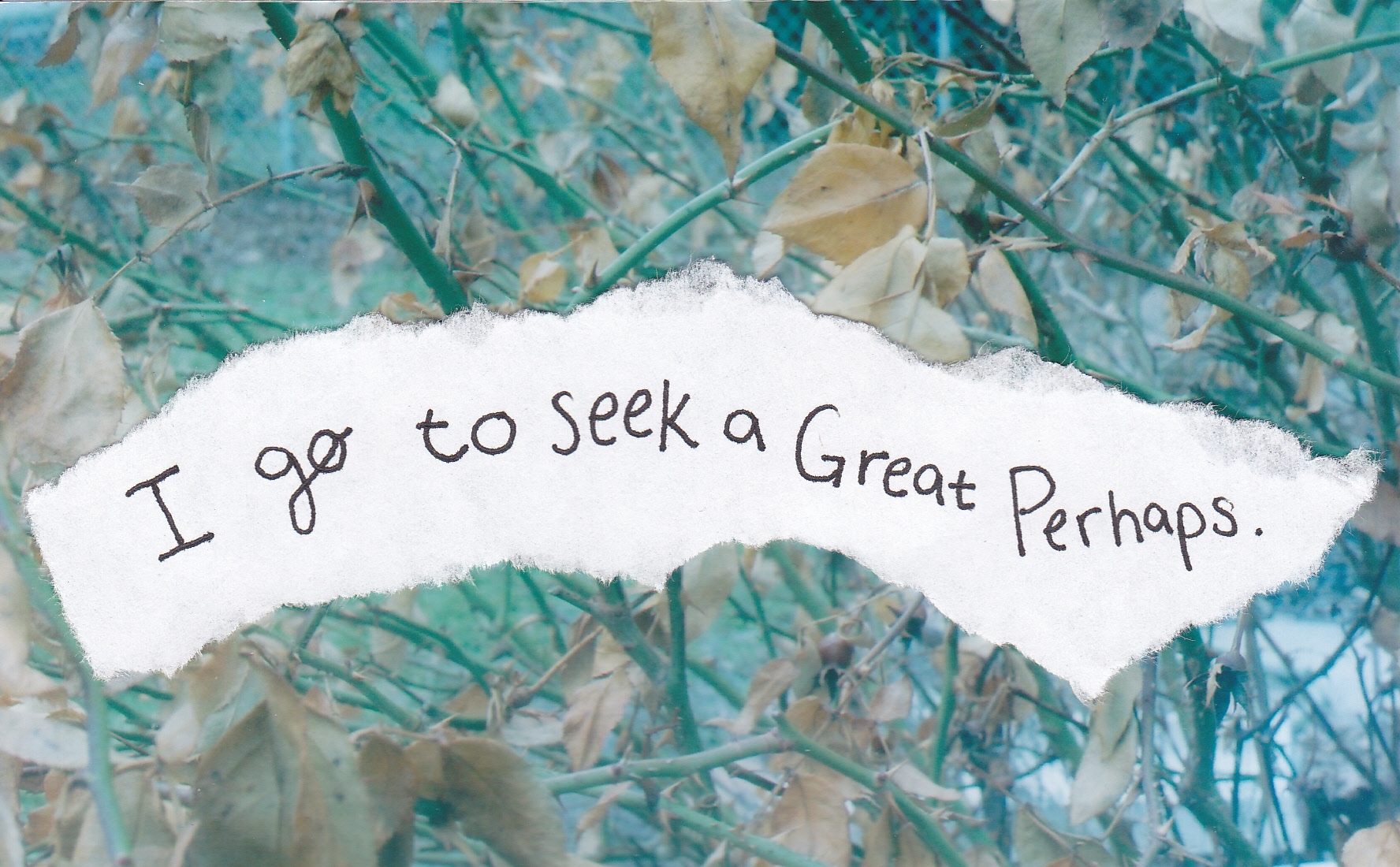 5521340354_a3cf9a1a95_o