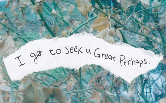 5521340354_a3cf9a1a95_o