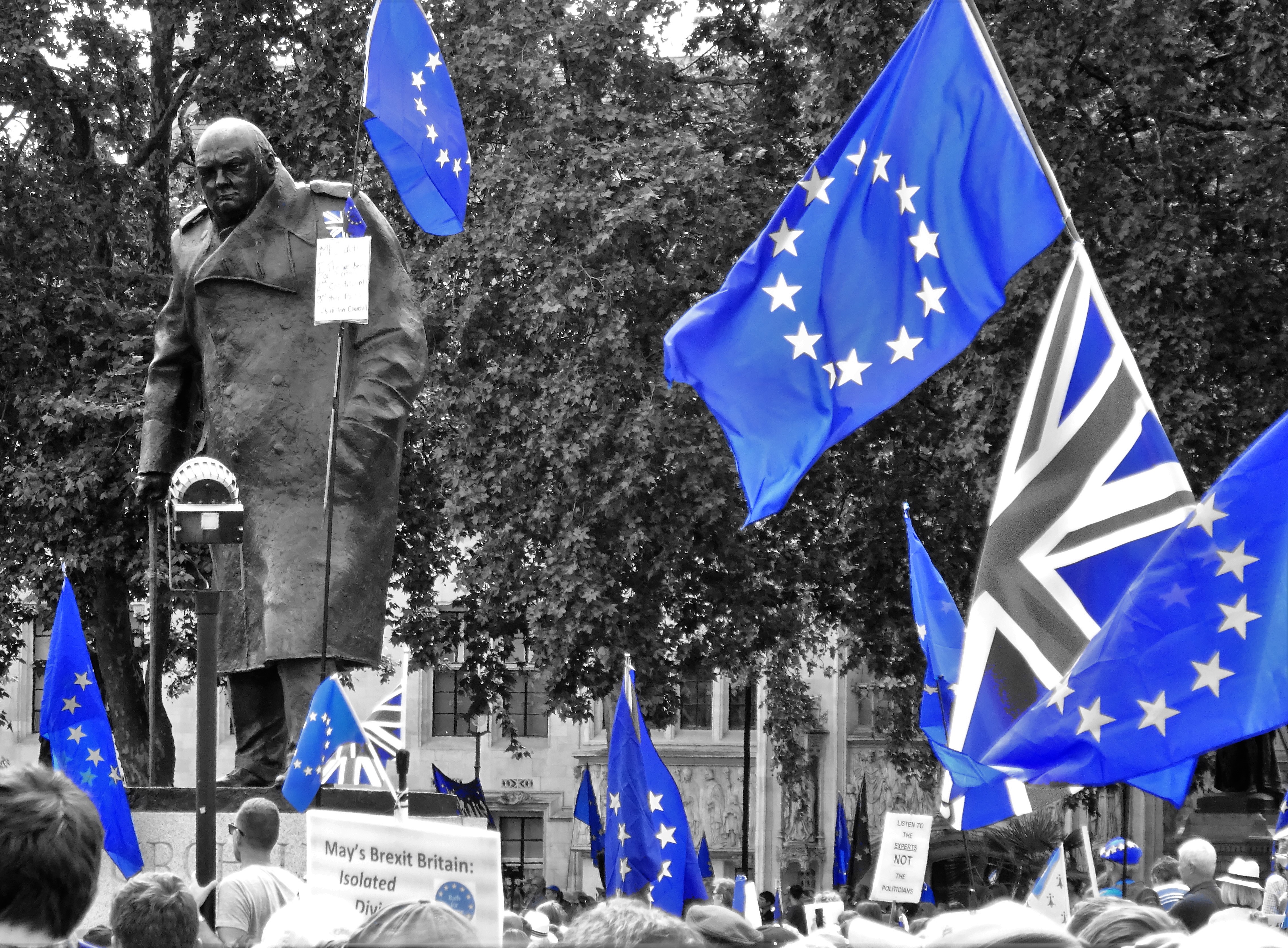 42070509215_de5f29e398_o