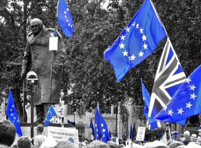 42070509215_de5f29e398_o