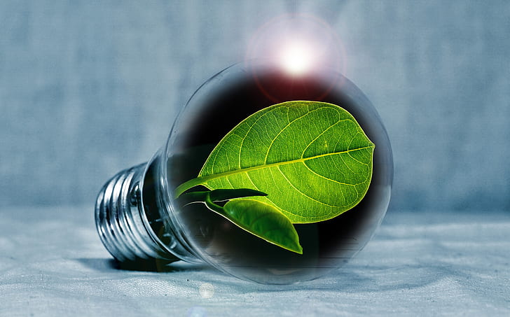 light-bulb-leaf-chlorophyll-green-preview