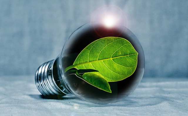 light-bulb-leaf-chlorophyll-green-preview